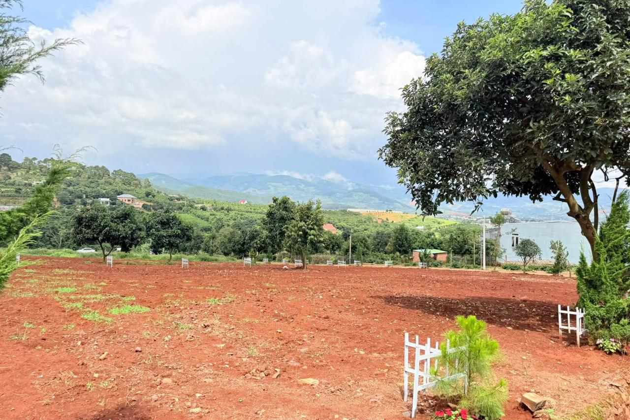 Cụm 14 nền Nam Ban Bãi Công – nền đất F0 mới cắm mốc, đất đỏ bằng phẳng, view thung lũng ven Đà Lạt