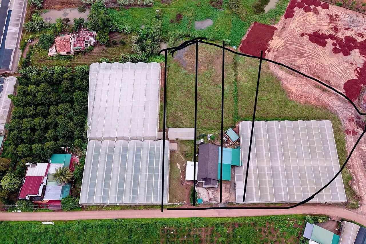 Ảnh flycam cụm 4 lô hồ Từ Liêm từ trên cao: bên bán vạch ranh các lô, mặt tiền đường bê tông, trên đất có nhà kính và một căn nhà