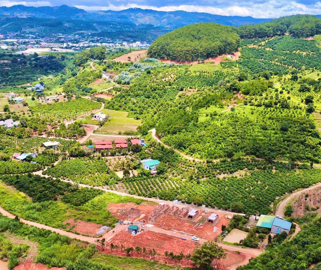 Mê Linh view panorama: toàn cảnh khu 5 lô giữa vườn cà phê, đồi thông phía trên, thung lũng Nam Ban và núi phía xa
