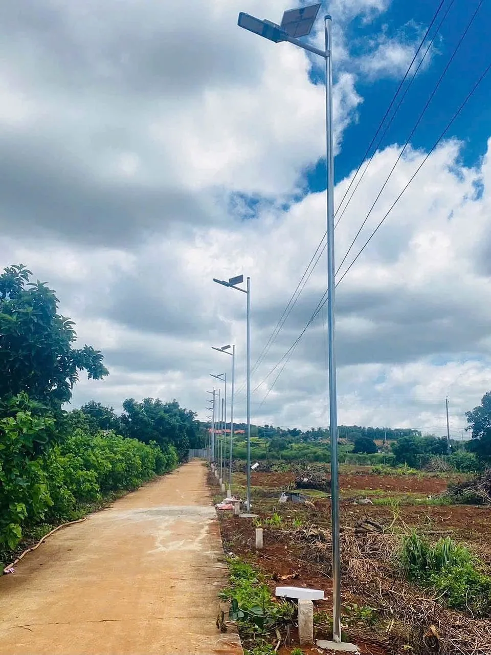 Đường bê tông nội bộ và hàng đèn đường năng lượng mặt trời chạy dọc các nền đất Chi Lăng Nam Ban