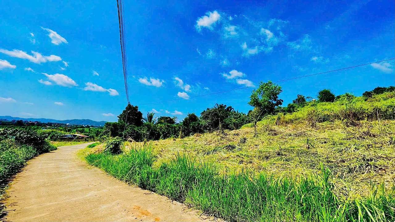 Đường bê tông vào cụm lô Đông Thanh Nam Ban, trời xanh, view đồi
