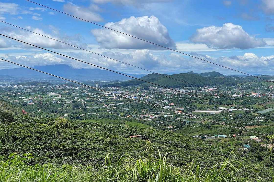 View toàn cảnh thung lũng và núi từ khu Nam Ban – Đông Thanh Golden View, có tượng Phật lớn phía xa