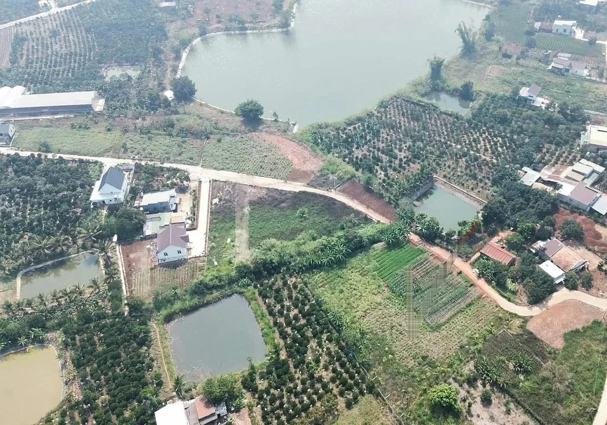Đông Thanh Lake – cụm đất Nam Ban (thông tin đang cập nhật)