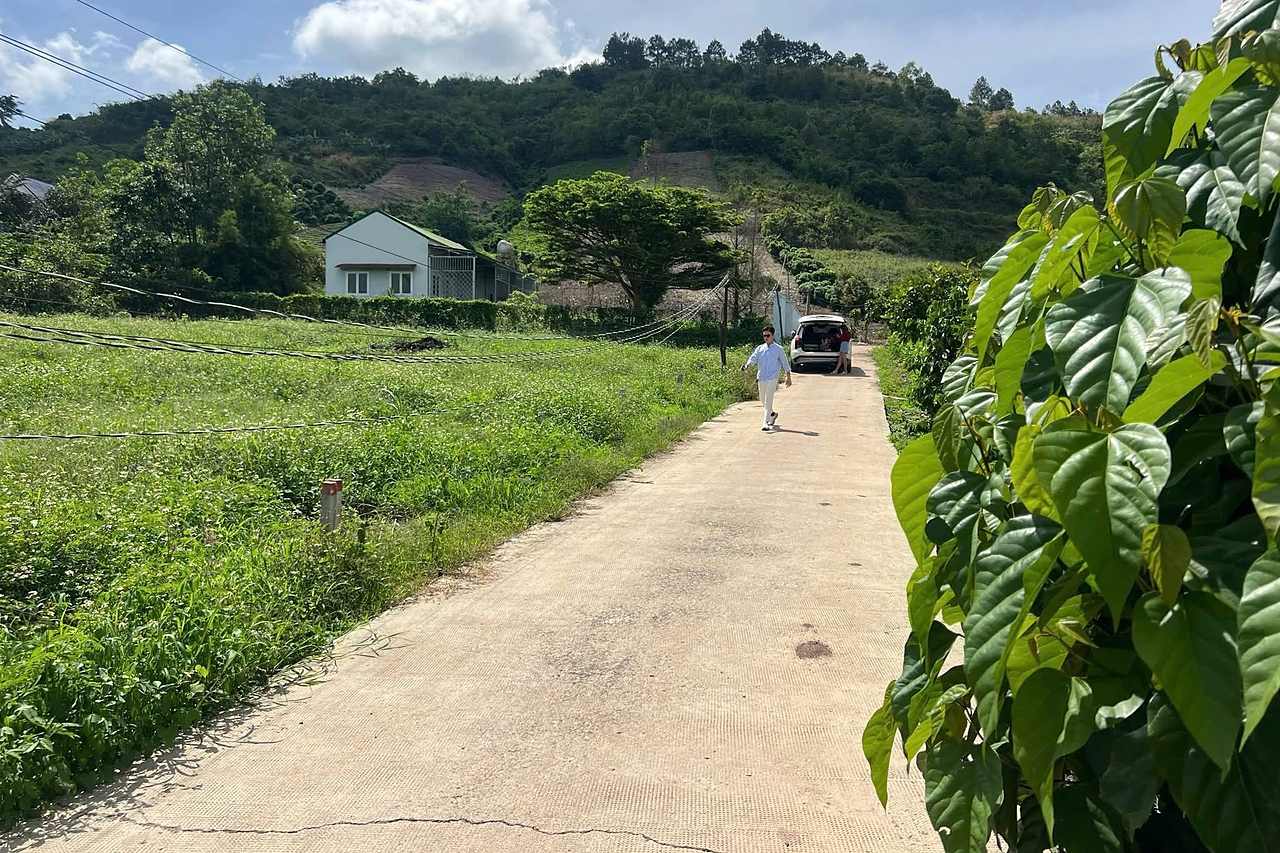 Đường bê tông vào cụm 12 lô Gia Lâm Nam Ban, view đồi thông