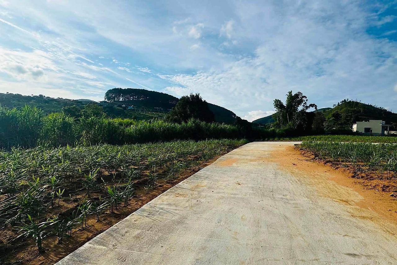 Đường bê tông nội khu cụm Little Creek Nam Ban, view đồi thông và núi