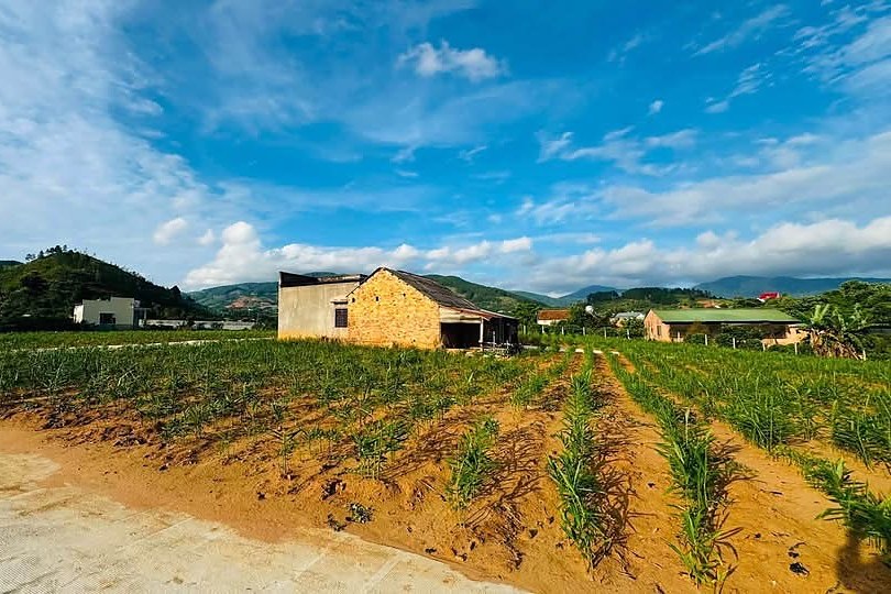 Nền đất cụm Little Creek Nam Ban, nhà dân hiện hữu, view núi đồi