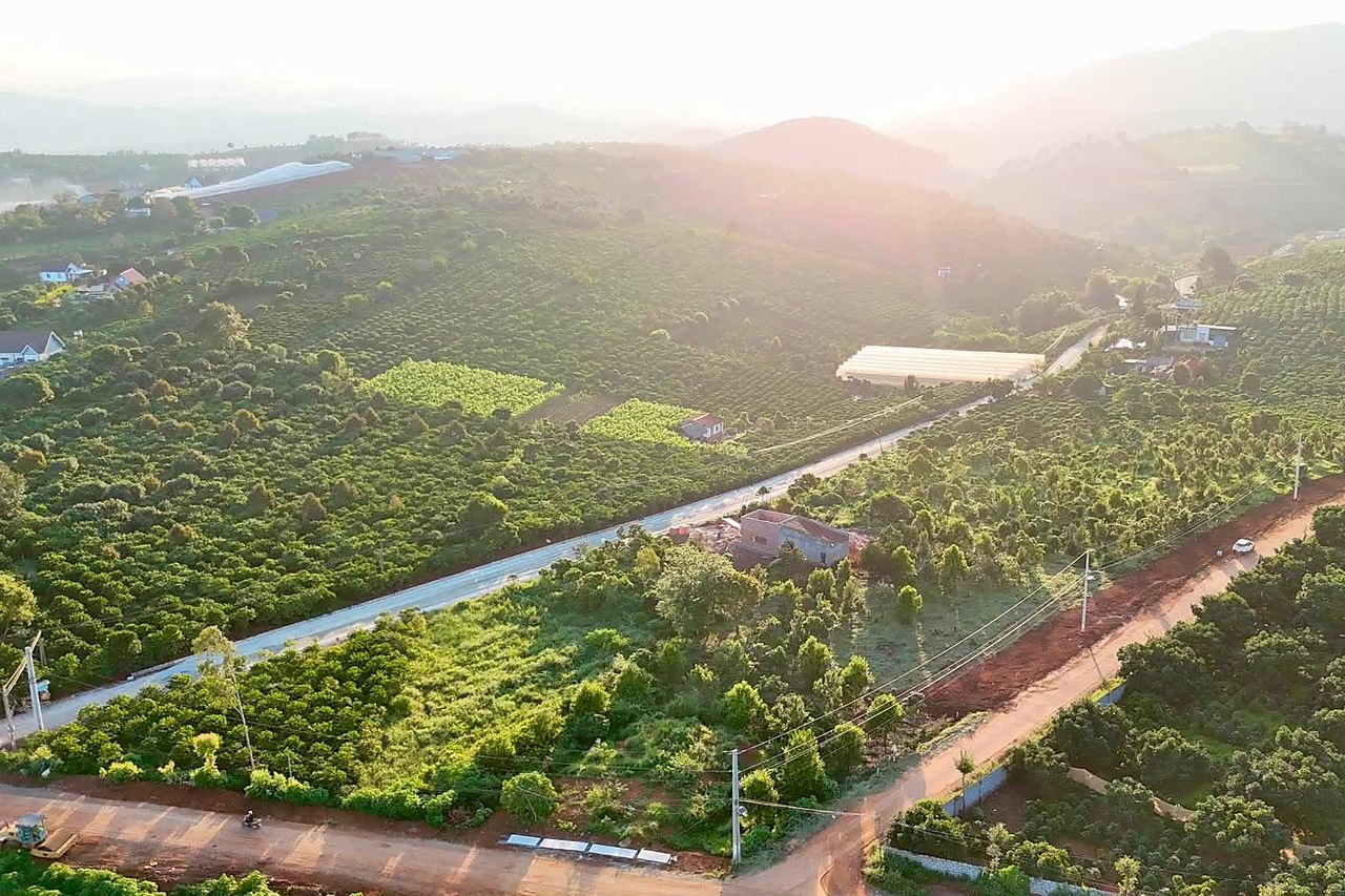 Toàn cảnh khu Mê Linh ven Đà Lạt lúc hoàng hôn – đồi chè, vườn cây, khu dân cư hiện hữu