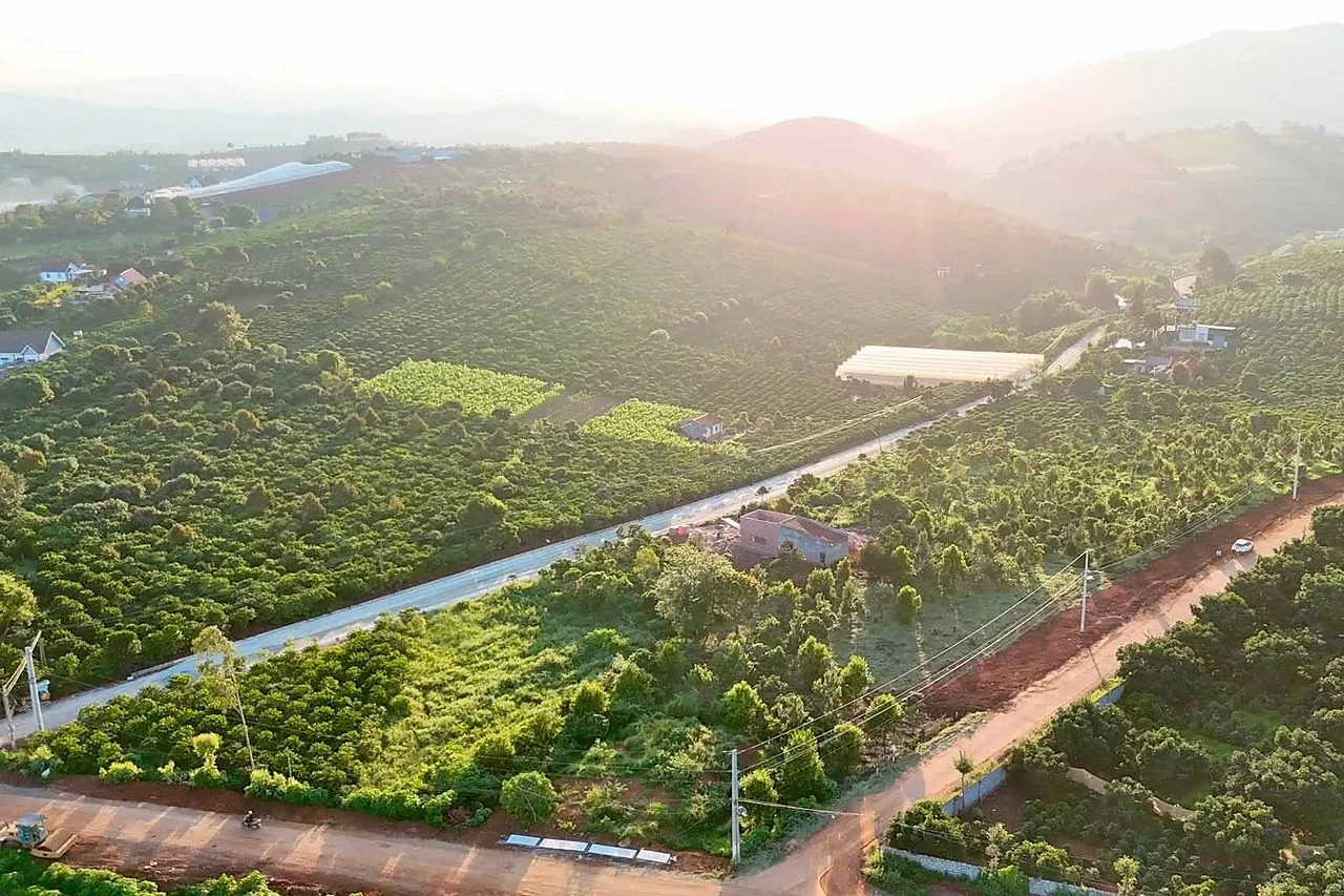 Toàn cảnh khu Mê Linh ven Đà Lạt lúc hoàng hôn – đồi chè, vườn cây, khu dân cư hiện hữu