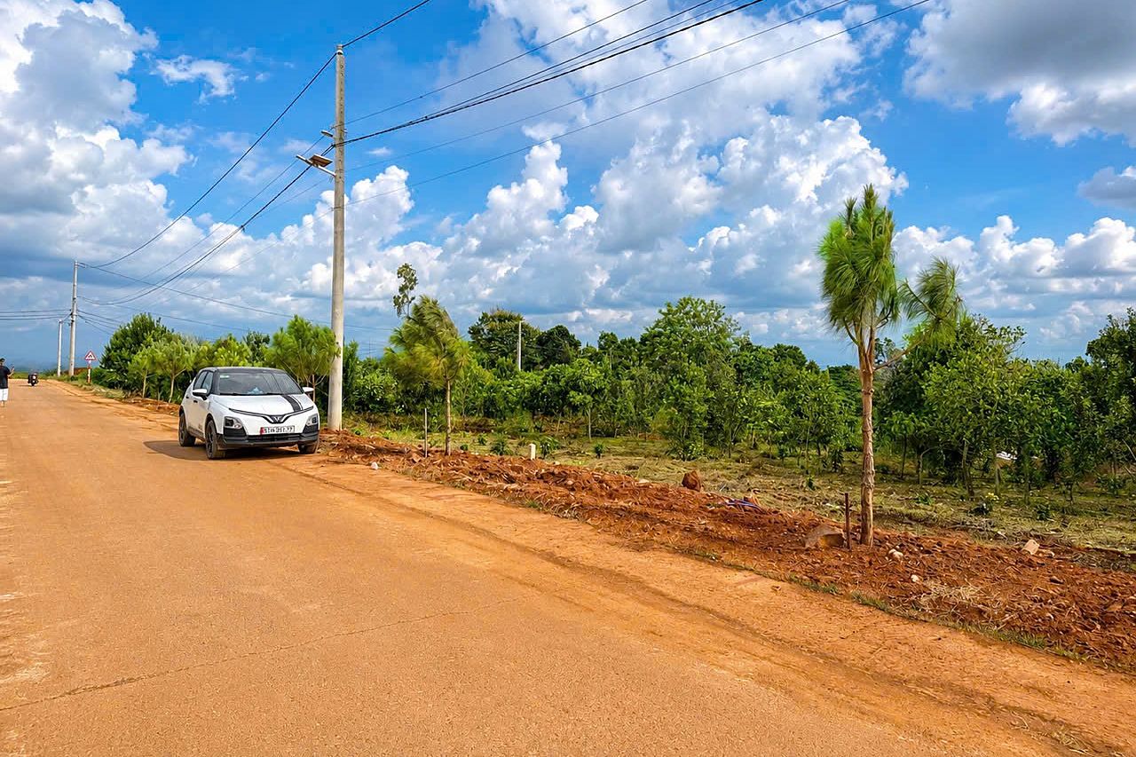 Đường nhựa trước cụm đất Mê Linh với trụ điện và đèn đường chiếu sáng, hai bên là các lô đã trồng cây