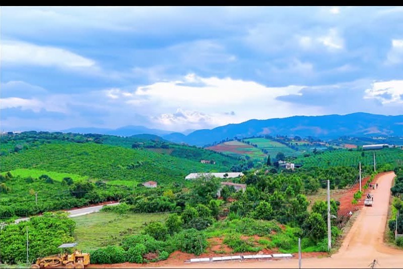 Toàn cảnh thung lũng Mê Linh nhìn từ cụm đất – đồi chè, vườn cây, núi xa, đường vào khu
