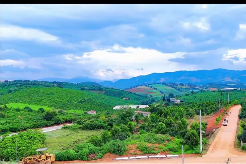 Toàn cảnh thung lũng Mê Linh nhìn từ cụm đất – đồi chè, vườn cây, núi xa, đường vào khu