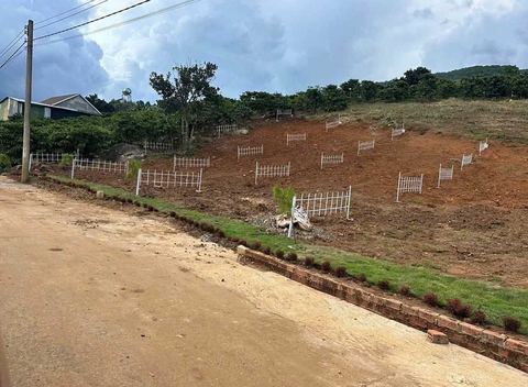 Các lô rào trắng nối nhau trên sườn đồi, đường đất rộng chạy dọc mặt tiền, cột điện đầu dãy