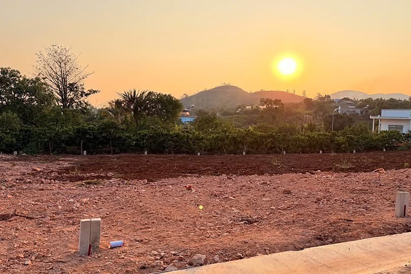 Các lô đất Nam Ban lúc hoàng hôn – cọc mốc ranh giới đã cắm, vườn cà phê và núi phía sau