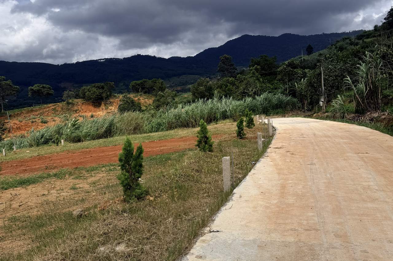Nền đất cụm Nam Ban Cloudy Hill Đông Thanh đã san, đường bê tông và cây thông non, view đồi núi ven Đà Lạt