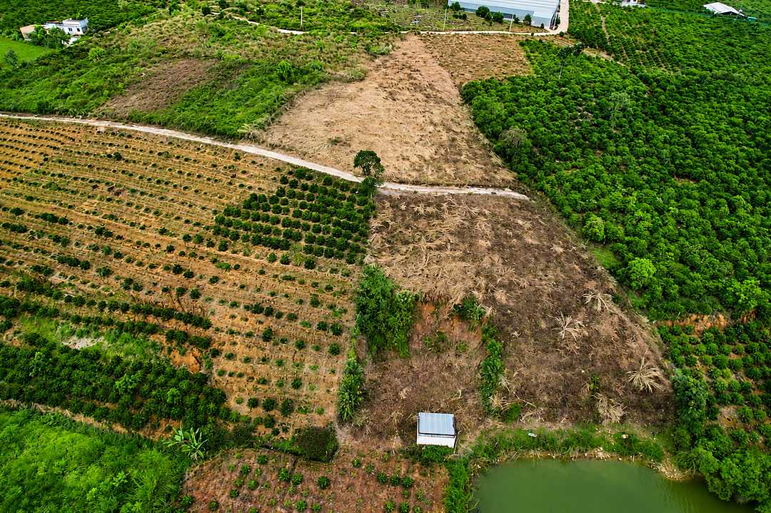 Flycam cụm Nam Ban – Bãi Công Lake View bên hồ Bãi Công, các nền đất và vườn cà phê, đường vào khu