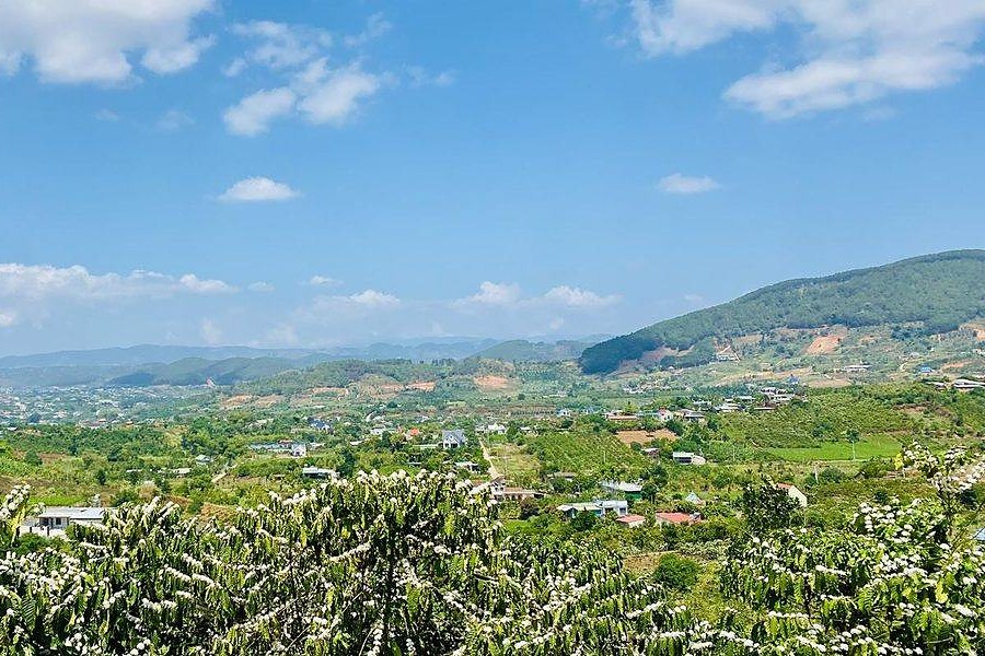 Thung lũng đồi cà phê Nam Ban buổi sáng – ảnh minh hoạ khu vực, không phải ảnh dự án Nam Ban Valley