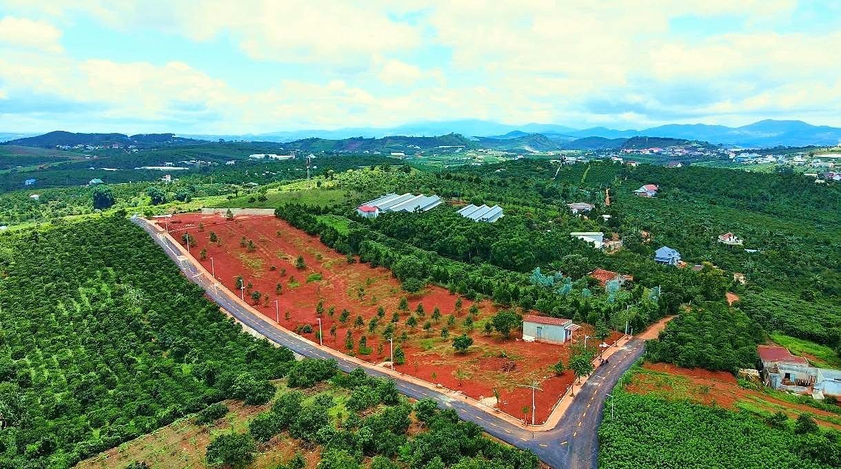 Toàn cảnh cụm 9 lô Nam Hà Center View từ trên cao: dải đất đỏ dọc đường nhựa có đèn, xung quanh vườn bơ, cà phê và khu dân cư