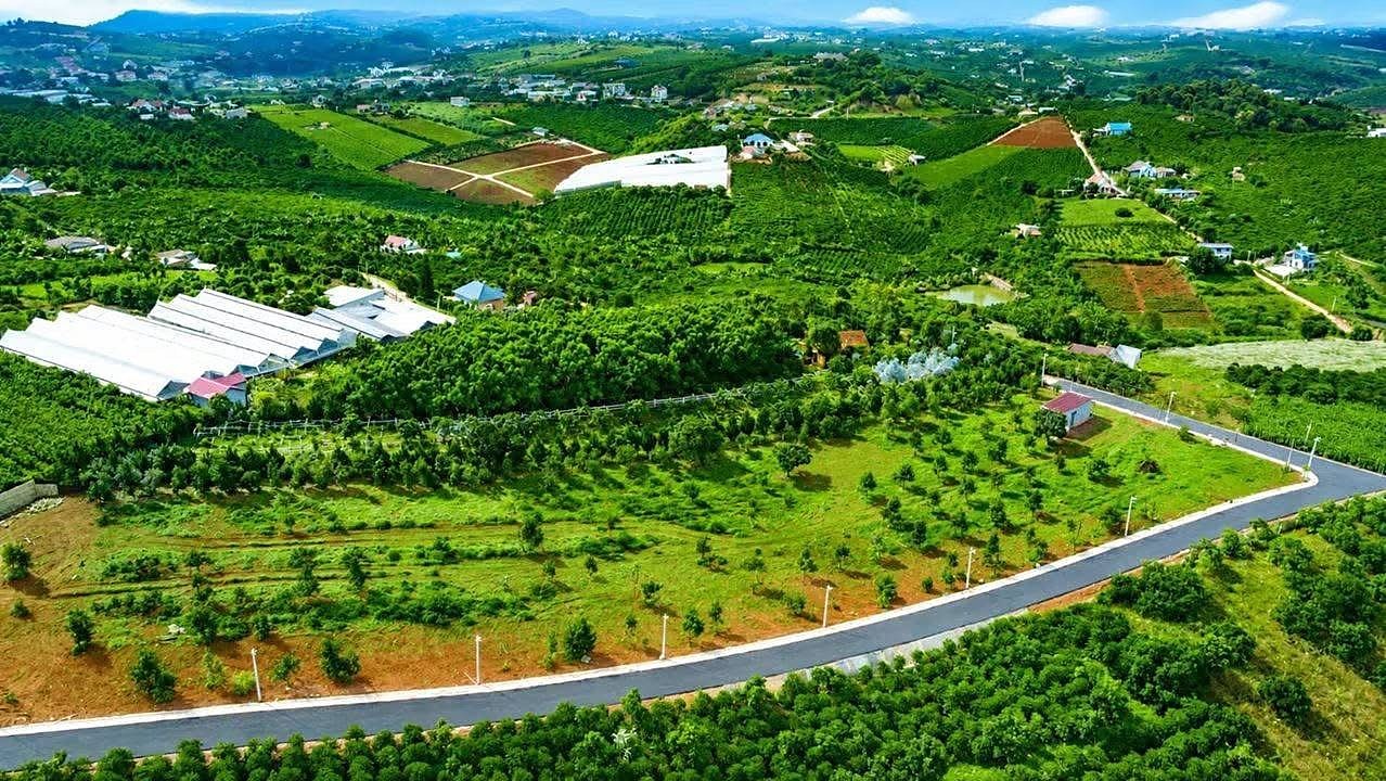 Cụm Nam Hà Center View nhìn từ trên cao: đường nhựa uốn quanh các lô trồng cây, nhà kính và khu dân cư Nam Hà phía xa