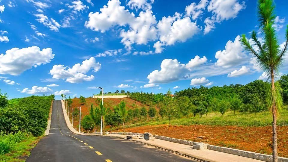 Đường nhựa vạch vàng lên dốc trong cụm Nam Hà Center View: vỉa hè lát gạch, đèn đường, thông mới trồng