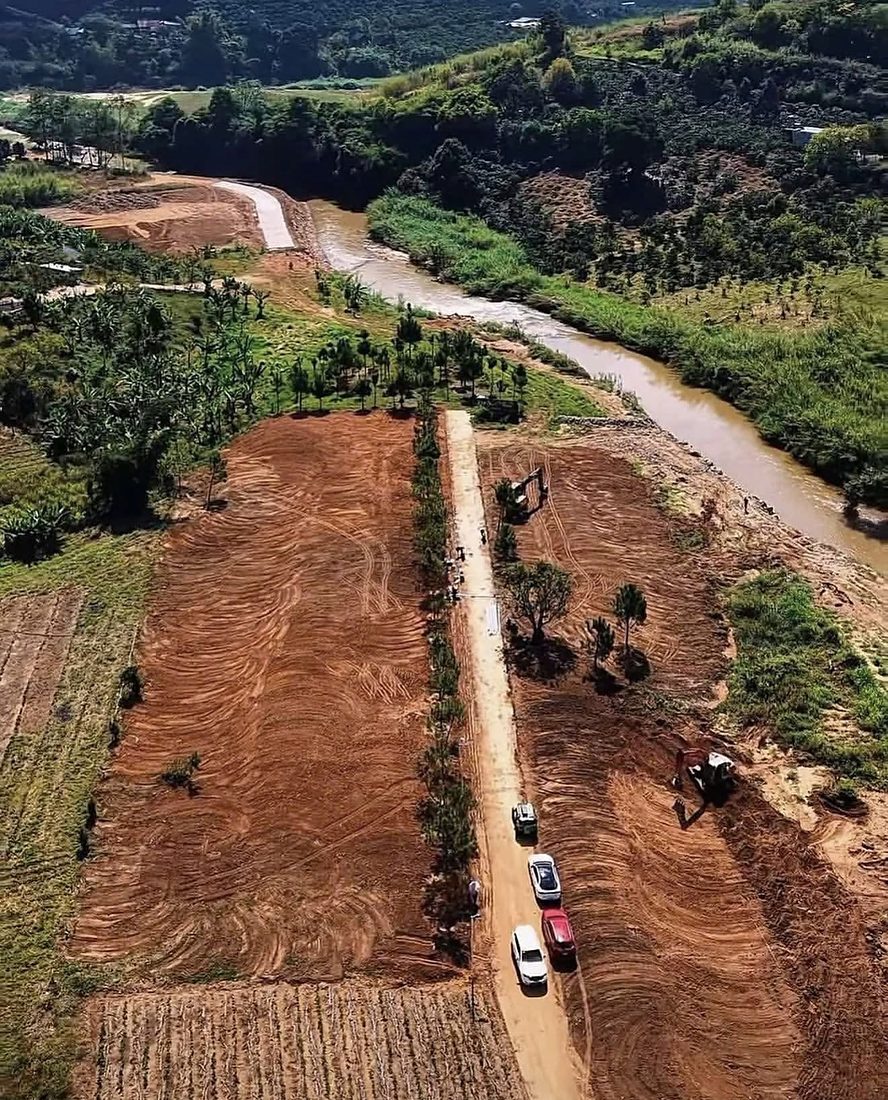 Cụm phân lô Suối Thông Retreat Mê Linh nhìn từ trên cao: đường nội bộ chạy giữa hai dải đất vừa san, hai bên trồng thông, cuối đường là suối