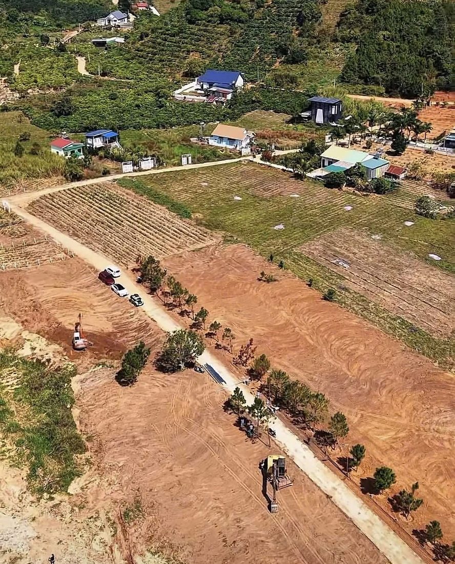 Cụm Suối Thông Retreat, Mê Linh, Nam Ban: đường trồng thông, máy đang san nền các lô, phía sau là nhà vườn và rẫy cà phê