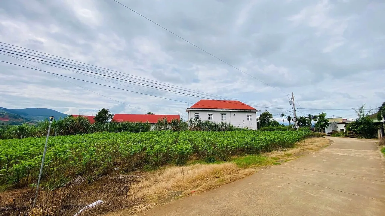 Cụm 5 nền F0 Tầm Xá Nam Ban, sổ sẵn, có đất ở, view núi