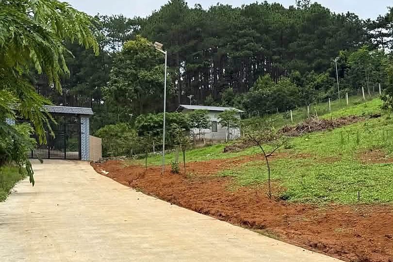 Lô đất tựa đồi thông, cổng và nhà, đèn năng lượng, đường bê tông ven Đà Lạt