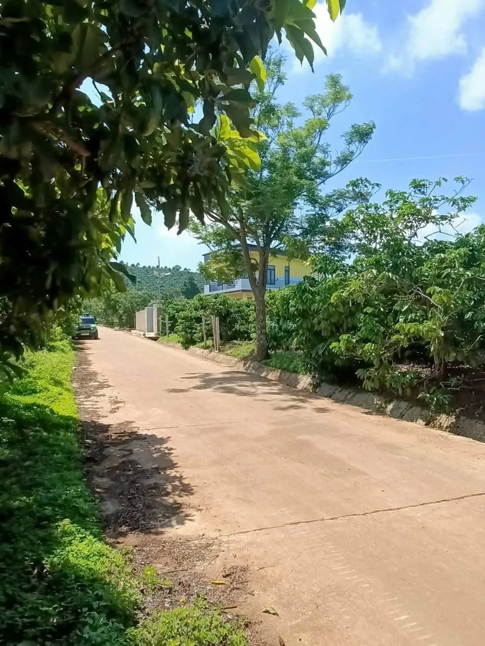Khu dân cư quanh 2 lô đất Nam Hà – đã có nhà xây, đường bê tông, vườn cà phê hiện hữu
