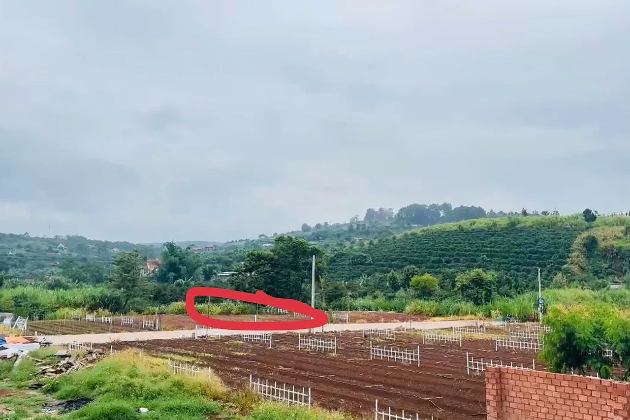 2 lô đất sát hồ Bãi Công Nam Ban 289 & 329m², đường bê tông 10m, sổ riêng, 1,35 tỷ/lô