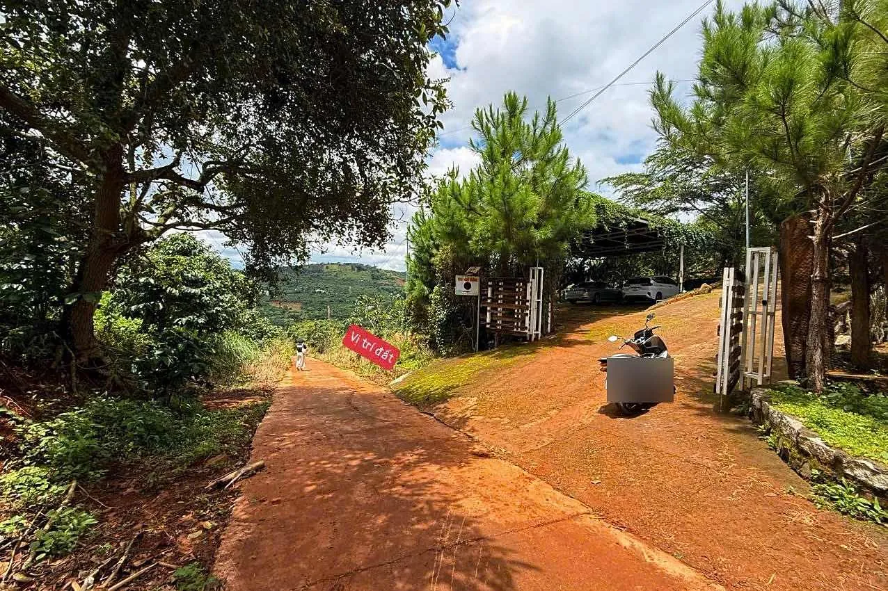 Đất 1.200m² trung tâm Nam Ban gần Ba Đình – 400m² thổ cư, 2 sổ (mua cả hoặc nửa lô)