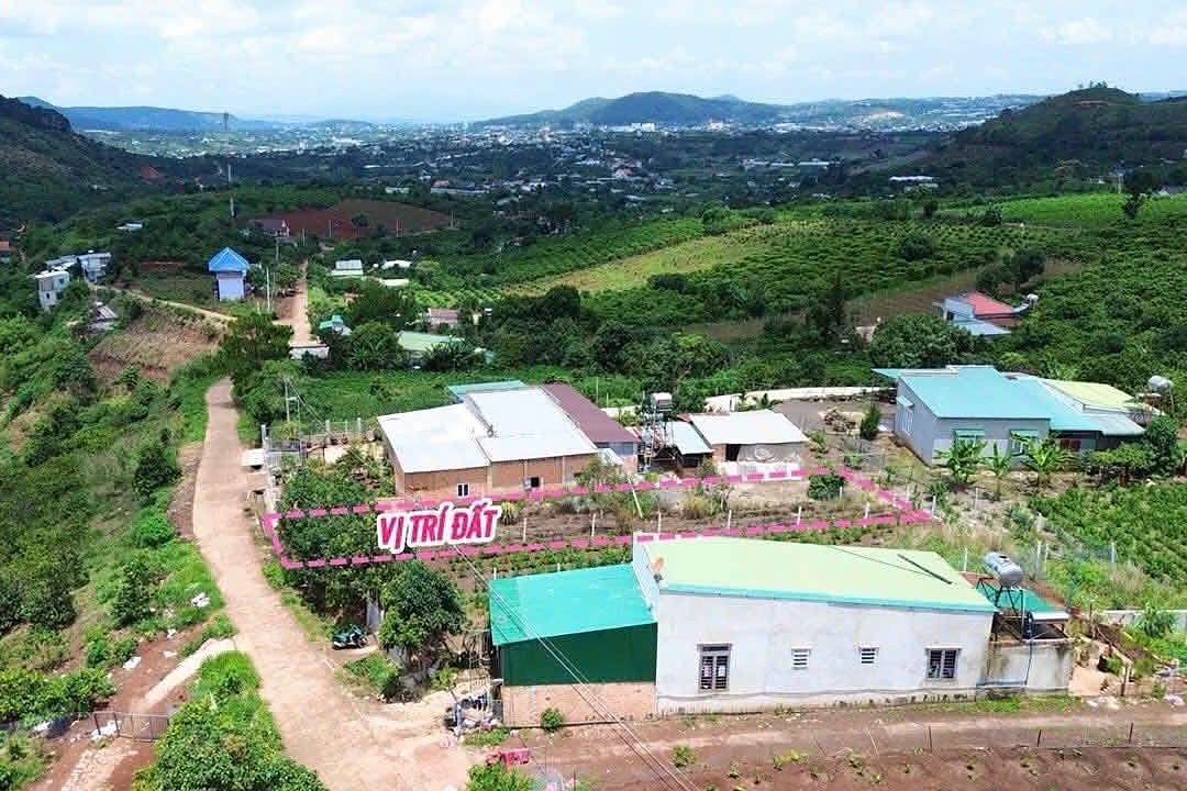 Vị trí lô đất Đông Anh 3, Nam Ban nhìn từ trên cao: giáp nhà dân hai bên, trước mặt là thung lũng và rẫy cà phê
