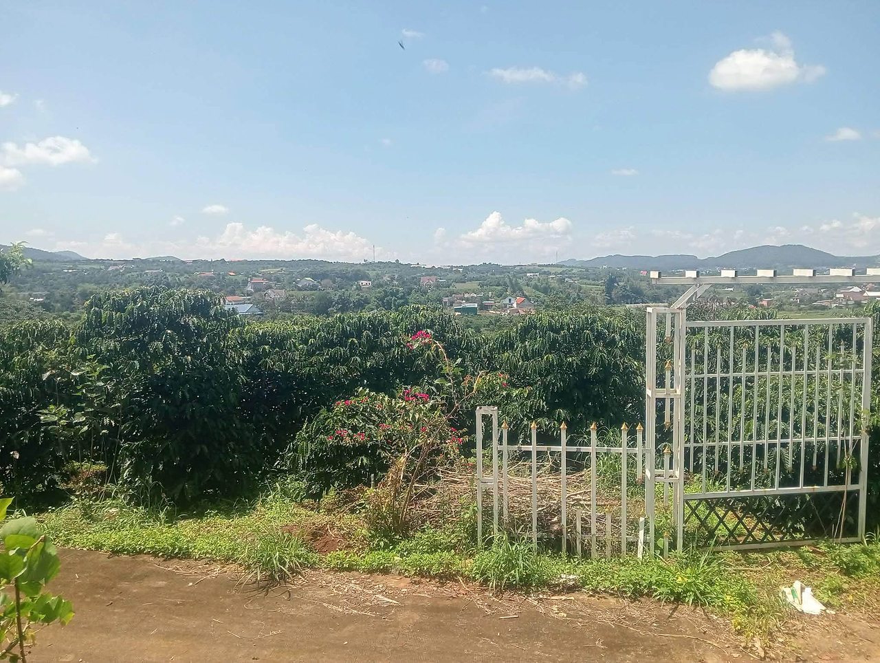 Đông Thanh view panorama: từ lô 2.999m² nhìn ra cả thung lũng Nam Ban, vườn cà phê trước mặt, nhà dân và dãy núi phía xa