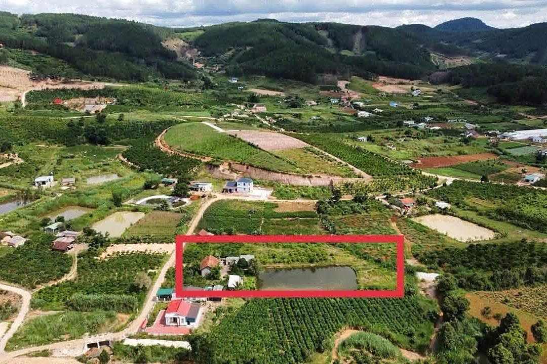 Ảnh flycam khoanh vùng lô đất 5.100m² Đông Thanh Nam Ban – có nhà, ao nhỏ, vườn cây ăn trái, quanh là đồi thông và khu dân cư ven Đà Lạt