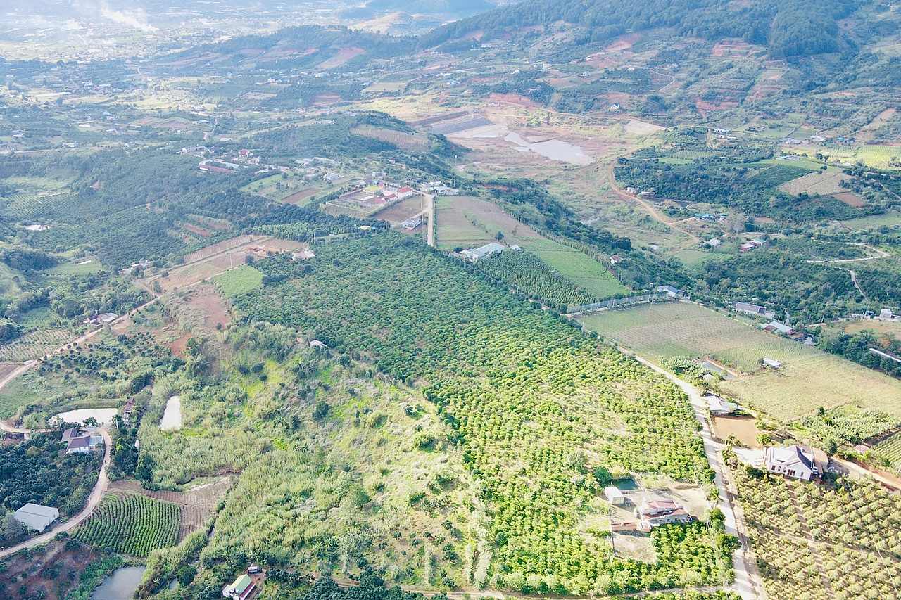 Flycam khu đất 6.270m² Đông Thanh, Nam Ban: vườn cây giữa hai đường bê tông, hồ nước và dãy núi phía xa