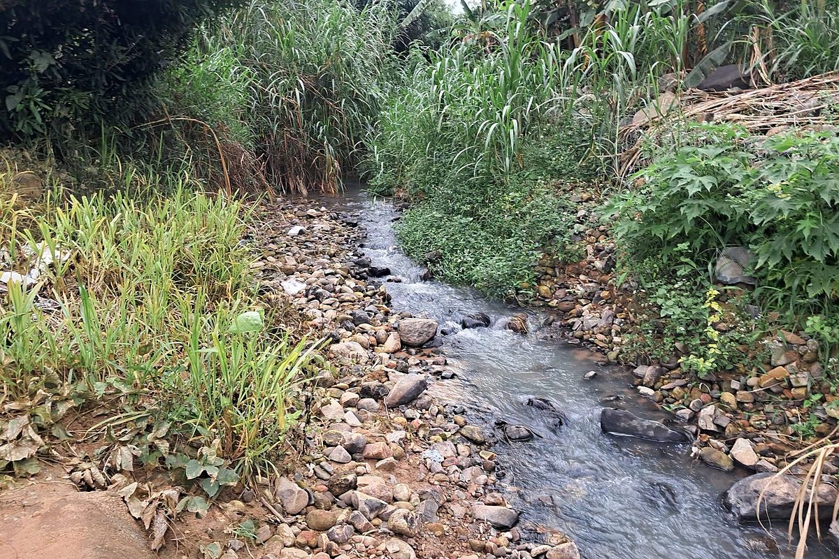 Suối đá chảy phía sau lô đất 677m² Thanh Trì, Đông Thanh, Nam Ban: lòng suối nhiều đá cuội, nước trong, hai bờ cỏ lau và chuối