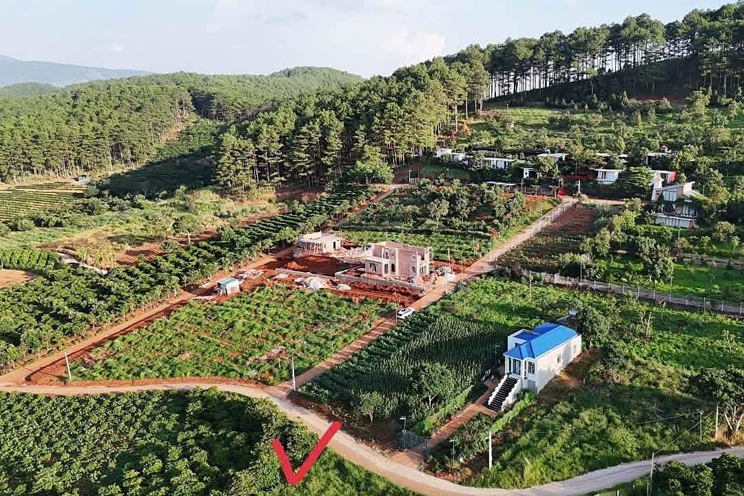 Lô đất gần 800m² ven Đà Lạt, giáp ranh TP Đà Lạt, giữa khu homestay villa