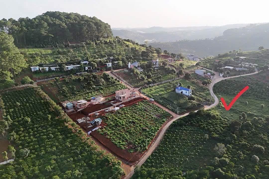 Vị trí lô đất bên đường, giữa khu villa và vườn ven Đà Lạt, rừng thông phía sau