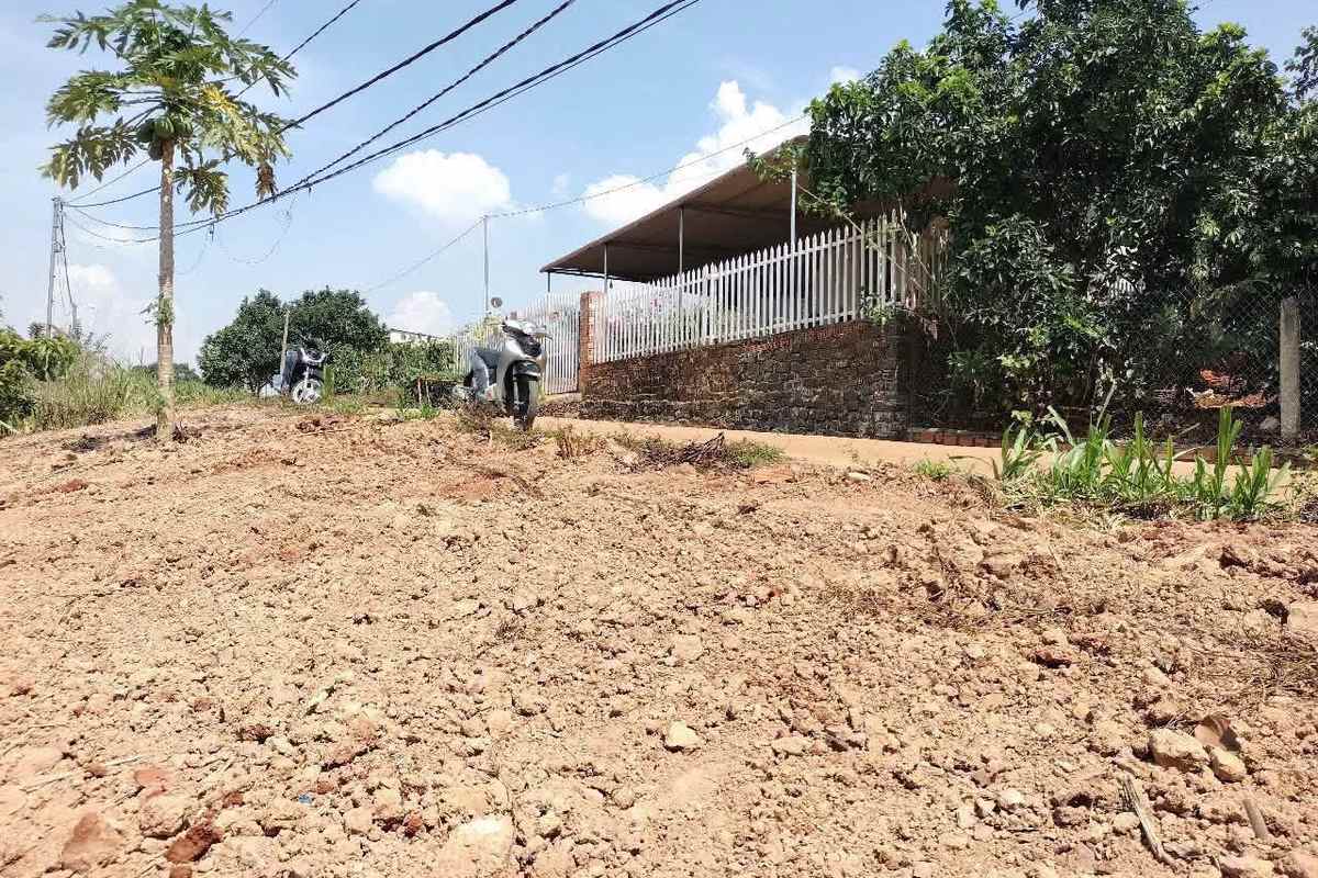 Lô đất 1.378m² Gia Lâm Nam Ban – mặt đất đã cải tạo phẳng, kế bên nhà dân tường gạch hàng rào trắng, có điện, đường đất đỏ, cây xanh quanh vườn
