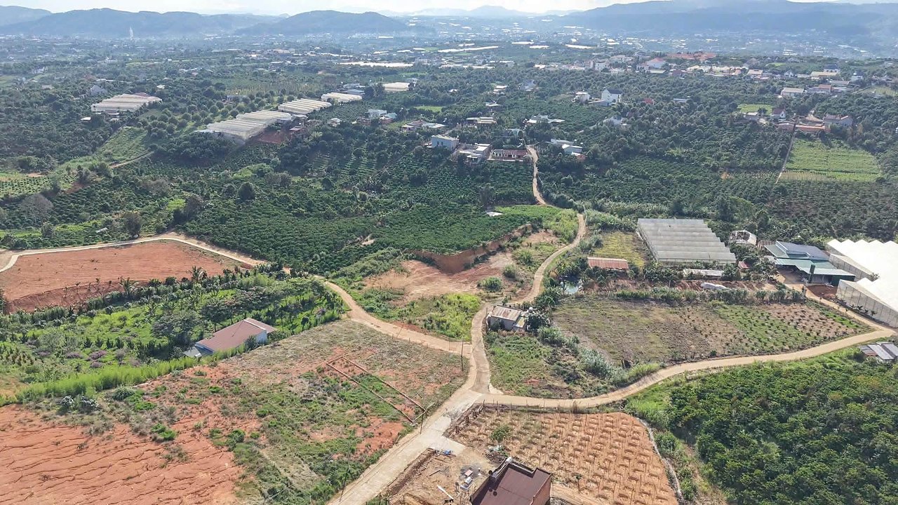 Flycam toàn khu quanh lô góc 272m² Đông Thanh, Nam Ban: đường bê tông, vườn cà phê, nhà kính, thung lũng phía xa