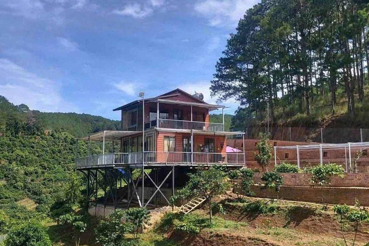 Khu đất 3.865m² Mê Linh Thôn 3 – vườn cà phê bậc thang trên sườn đồi, nhà gỗ nghỉ dưỡng hiện hữu trong khu, rừng thông ven Đà Lạt
