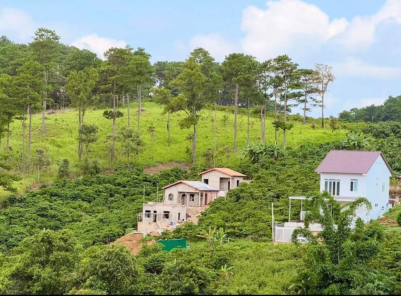 Lô góc 2 mặt tiền gần 400m² Nam Ban – cạnh đồi thông, gần đường nhựa Chi Lăng, sổ riêng