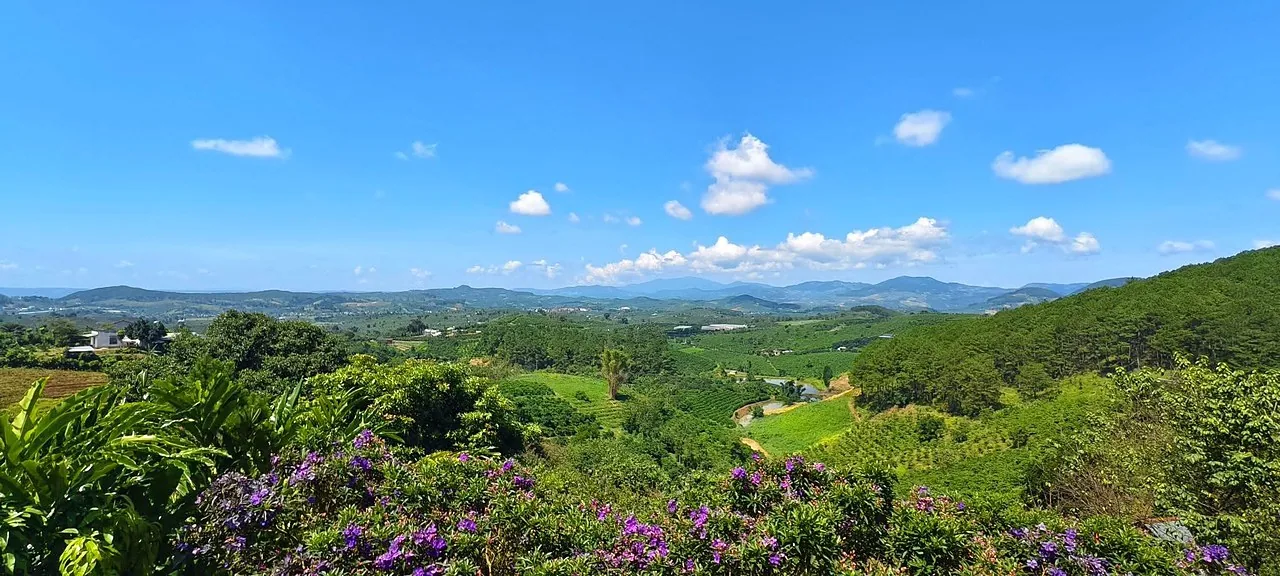 Đất 7.500m² giáp rừng thông Phi Tô, Nam Hà – 400m² đất ở, view panorama thung lũng
