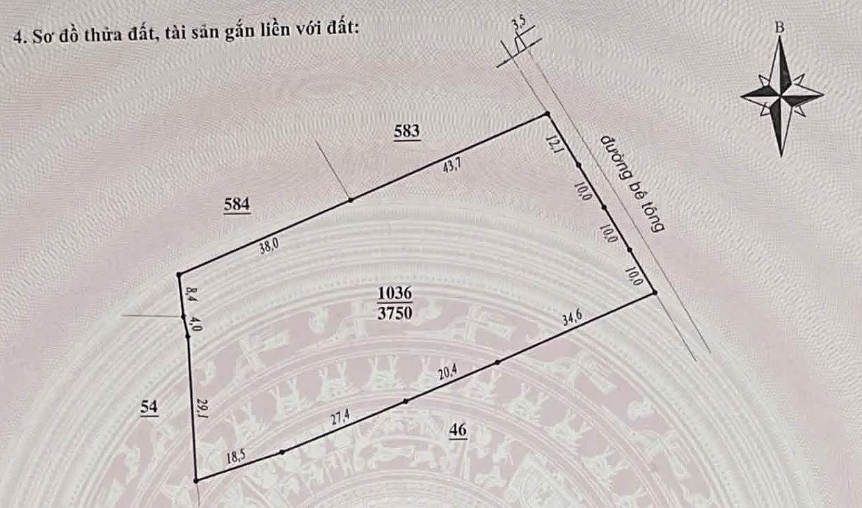 Sơ đồ thửa 1036 trên sổ: 3.750m², cạnh giáp đường bê tông 12,1m + 10m + 10m + 10m