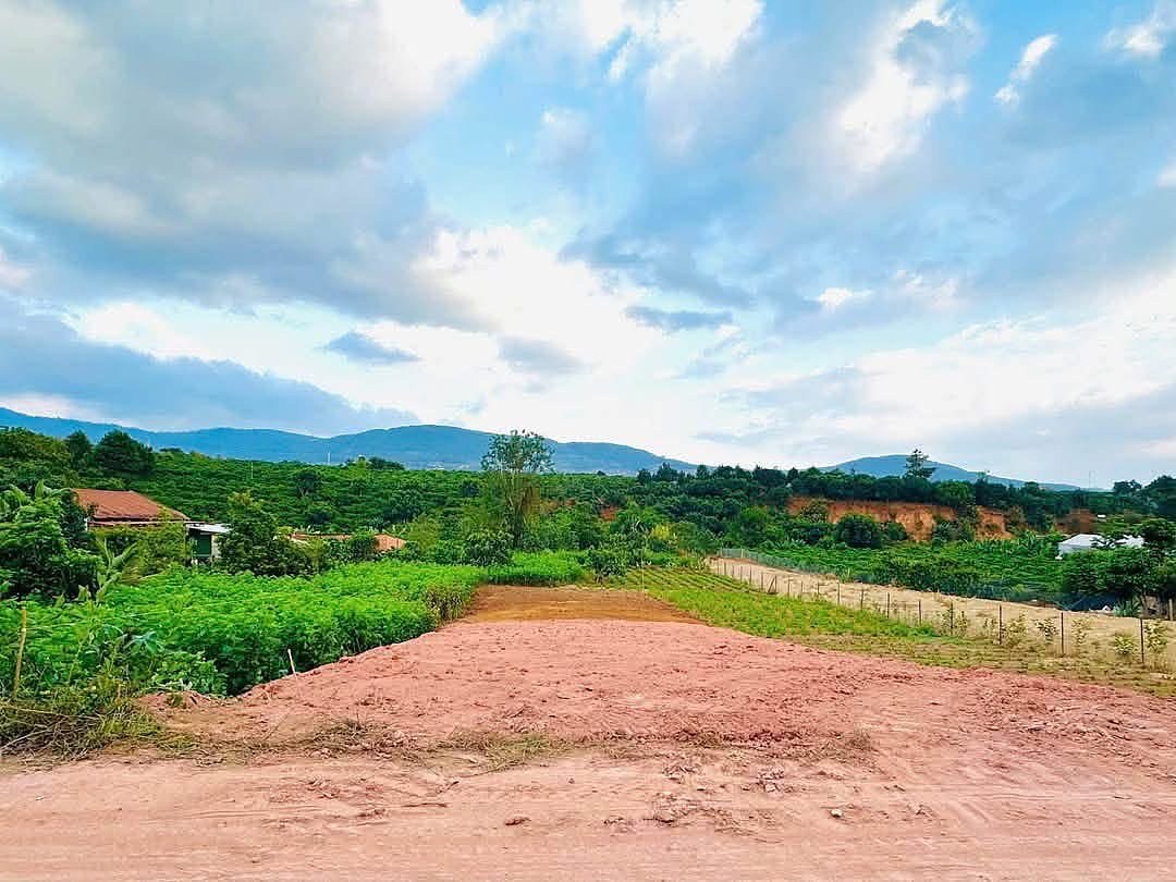 Lô đất 495m² Đông Thanh Nam Ban – nền đã san phẳng, view đồi cà phê và núi, trời xanh