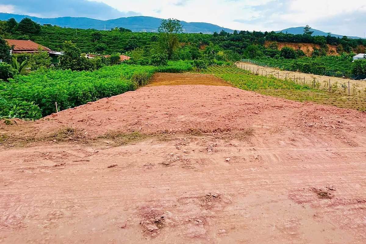 Lô đất 495m² Đông Thanh Nam Ban đã san, view đồi cà phê và núi, trời xanh mây trắng ven Đà Lạt