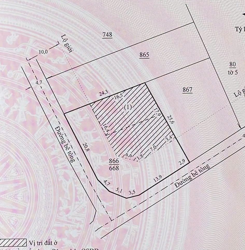 Sơ đồ thửa 866 – lô góc 2 đường bê tông, phần vị trí đất ở (315m²) và phần đất cây hàng năm thuộc lộ giới