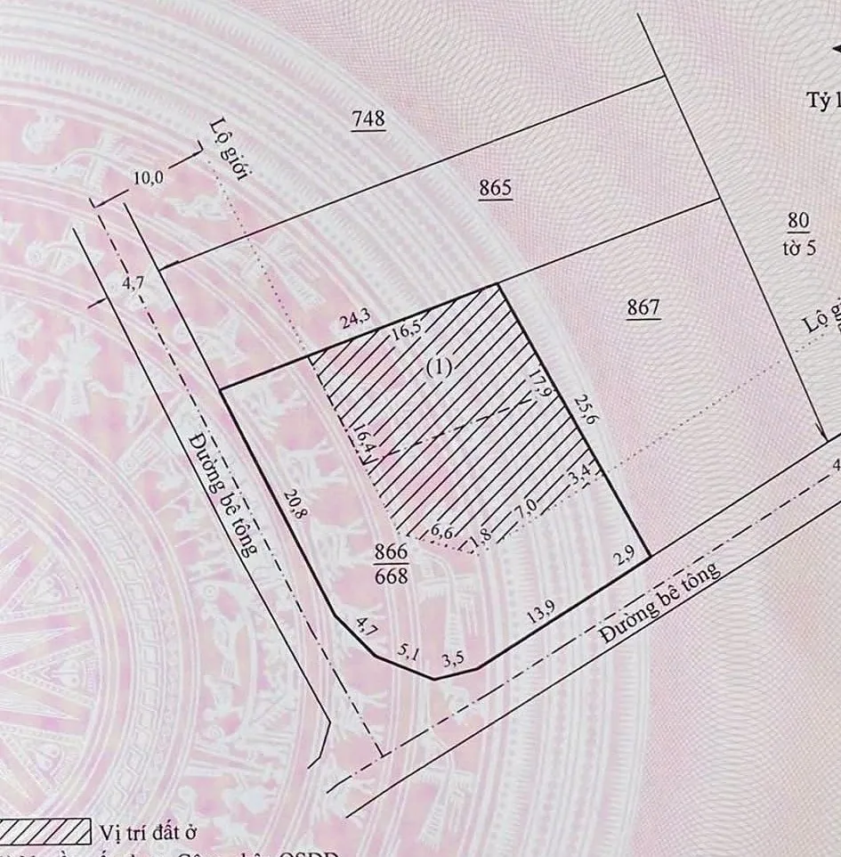 Sơ đồ thửa 866 – lô góc 2 đường bê tông, phần vị trí đất ở (315m²) và phần đất cây hàng năm thuộc lộ giới