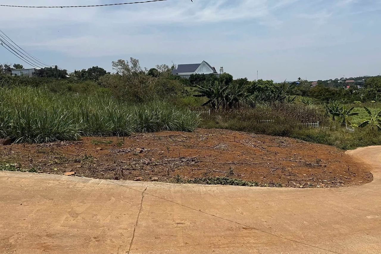Lô đất góc 770m² Đông Thanh, đường bê tông ôm 2 mặt, đất bằng phẳng đã dọn