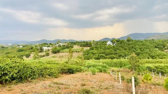 Đất Đông Thanh 845m² view sương mây Nam Ban - ảnh 2