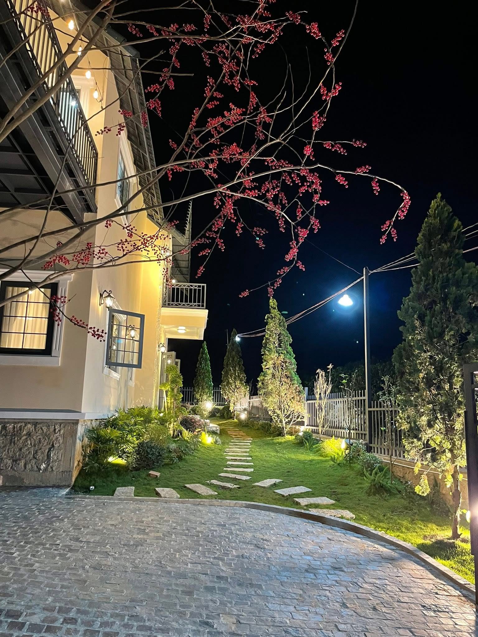 Hill House Retreat Nam Ban – lối đá sân vườn, cây anh đào đỏ, đèn dây ấm giữa đồi thông